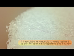 Introdução da fibra do ar do ponto de entrada de U-micco